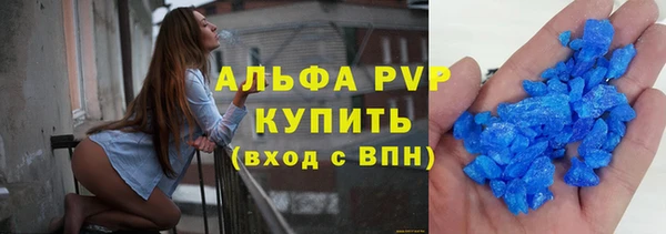 гидра Майский