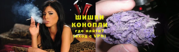 spice Магадан