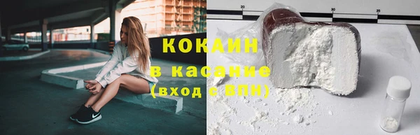 гидра Майский