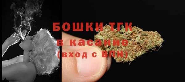 гидра Майский