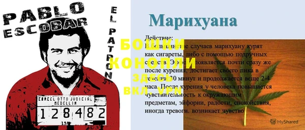 гидра Майский