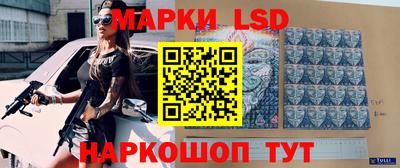 шишки Камышлов