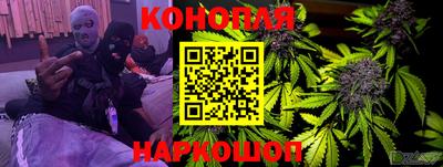 шишки Камышлов