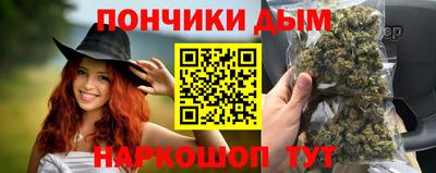 шишки Камышлов