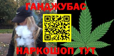 шишки Камышлов