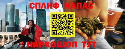 шишки Камышлов