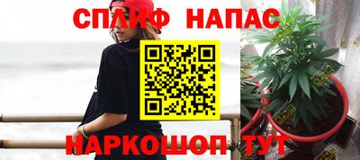шишки Камышлов