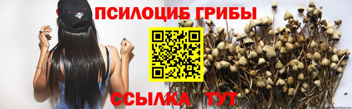 Галлюциногенные грибы Magic Shrooms Мичуринск